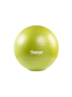 Tiguar body ball safety plus 55